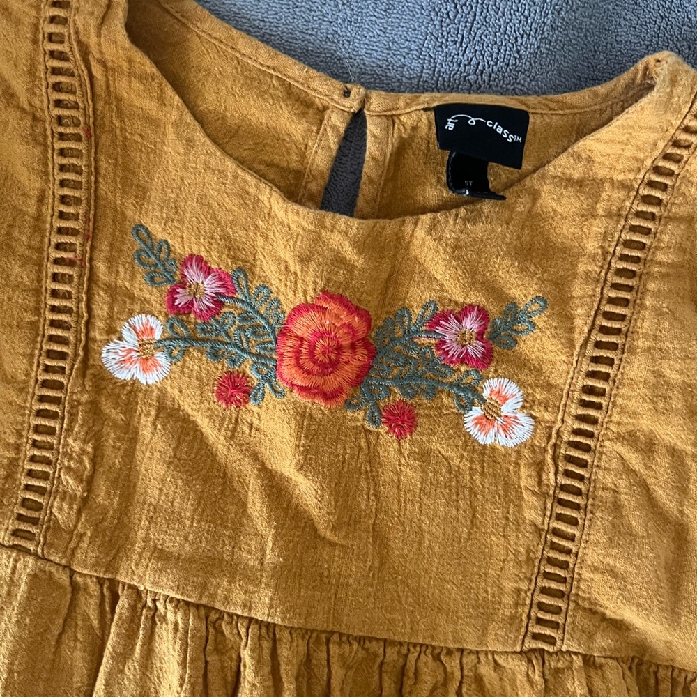 Art Class dress-size 5T